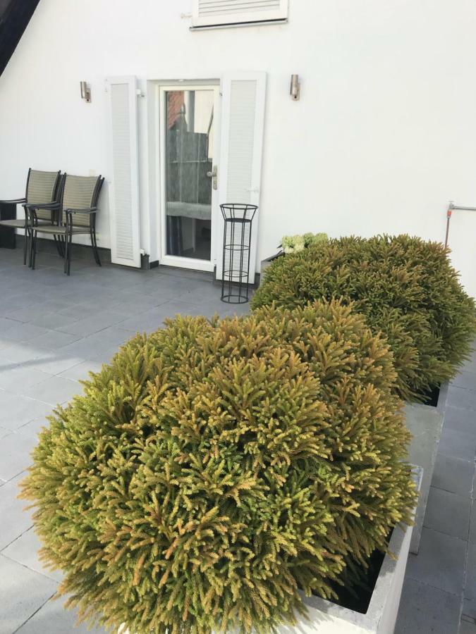 Apartmán Casa Christina Orschweier Exteriér fotografie